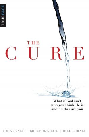 Cover of the book The Cure by R. Joseph Ritter, Jr.