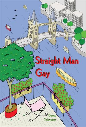 Cover of the book Straight Man Gay by Kathleen Jowitt