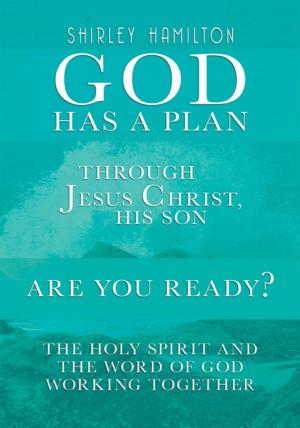 Cover of the book God Has a Plan by Steve Holt