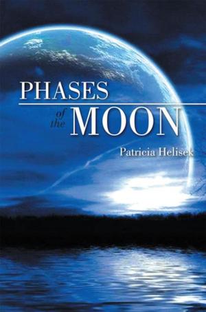 Cover of the book Phases of the Moon by 麥可．羅區格西(Geshe Michael Roach)