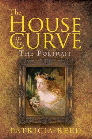 Cover of the book The House in the Curve by Susan Meehan