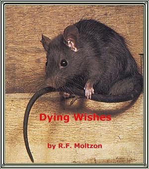 Cover of the book Dying Wishes by Annie Walls