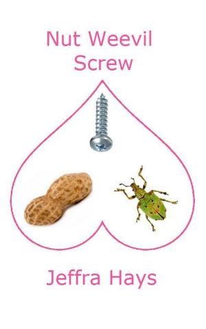 Cover of the book Nut Weevil Screw by Aysha Griffin