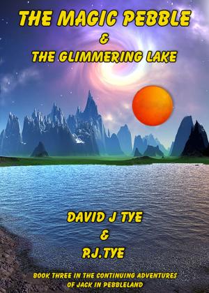 bigCover of the book The Magic Pebble & The Glimmering Lake by 