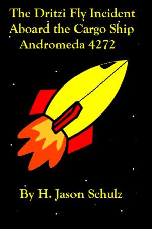 Cover of the book The Dritzi Fly Incident Aboard the Cargo Ship Andromeda 4272 by James J. Layton