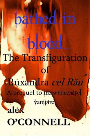 Book cover of Bathed in Blood: The Transfiguration of Ruxandra cel Rău