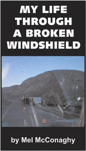 Cover of the book My Life Through A Broken Windshield by Natascha Kampusch, Heike Gronemeier