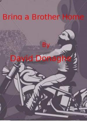 Cover of Bring a Brother Home.