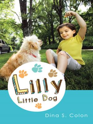 Cover of the book Lilly Little Dog by Ivor Blimsworth