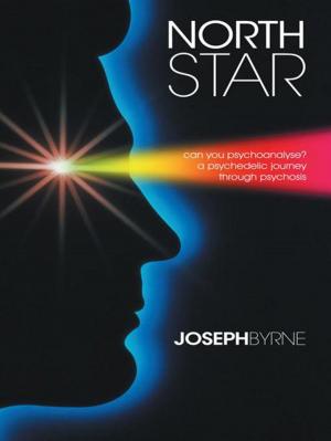 Cover of the book North Star by Connie Wickham