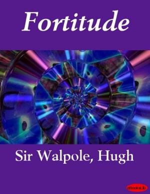 Cover of the book Fortitude by Stanley John Weyman