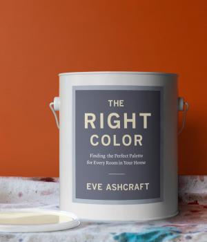 Cover of the book The Right Color by Susan B. Anderson
