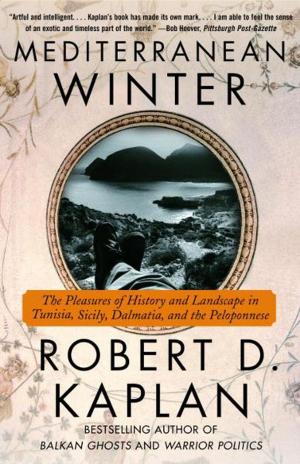 Book cover of Mediterranean Winter
