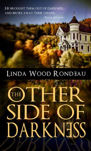 Cover of the book The Other Side of Darkness by Carla Rossi