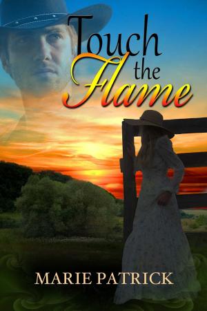 Cover of the book Touch The Flame by Sean E Thomas