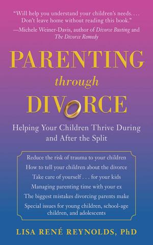 Cover of the book Parenting through Divorce by Brigid Washington