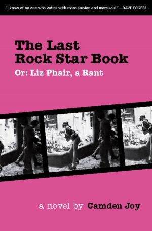Book cover of The Last Rock Star Book