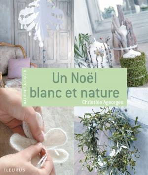 Cover of the book Un Noël blanc et nature by Agnès Laroche