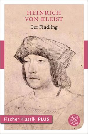 Cover of the book Der Findling by Suzanne Morrison