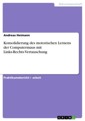 Cover of the book Konsolidierung des motorischen Lernens der Computermaus mit Links-Rechts-Vertauschung by Jan Glawe, Hardy Schwon