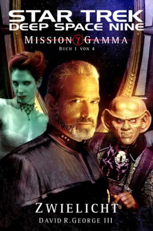 Cover of the book Star Trek - Deep Space Nine 8.05: Mission Gamma 1 - Zwielicht by Verena Klinke