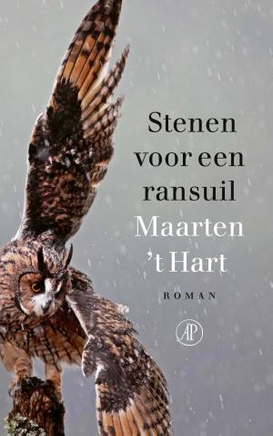 Cover of the book Stenen voor een ransuil by Patrick Modiano