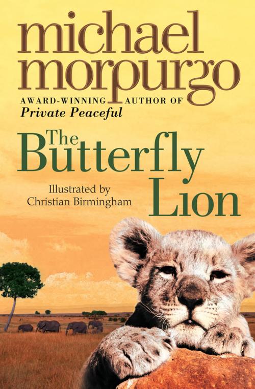 Cover of the book The Butterfly Lion by Michael Morpurgo, HarperCollins Publishers