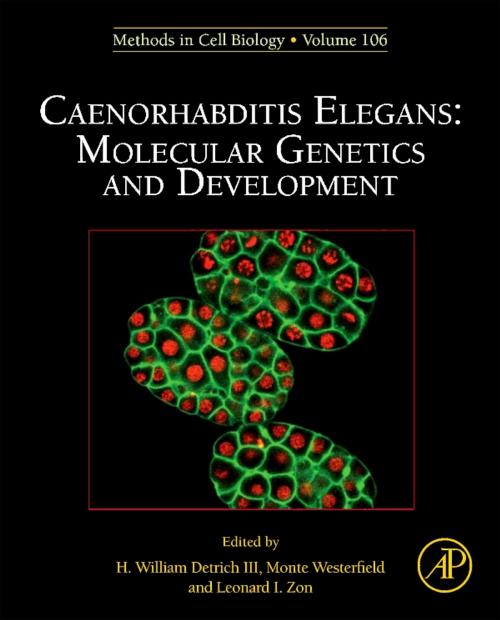 Cover of the book Caenorhabditis Elegans by Joel Rothman, Andrew Singson, Elsevier Science