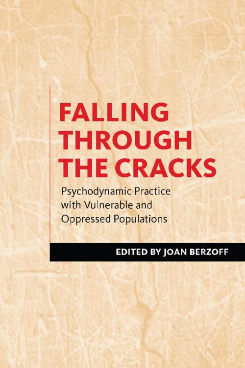 Cover of the book Falling Through the Cracks by , Columbia University Press