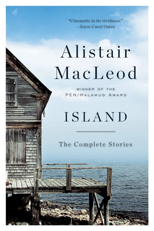 Cover of the book Island: The Complete Stories by Alistair MacLeod, W. W. Norton & Company