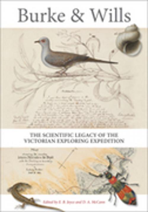Cover of the book Burke and Wills by , CSIRO PUBLISHING