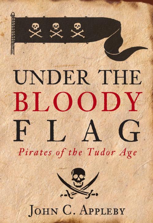 Cover of the book Under the Bloody Flag by John Appleby, The History Press
