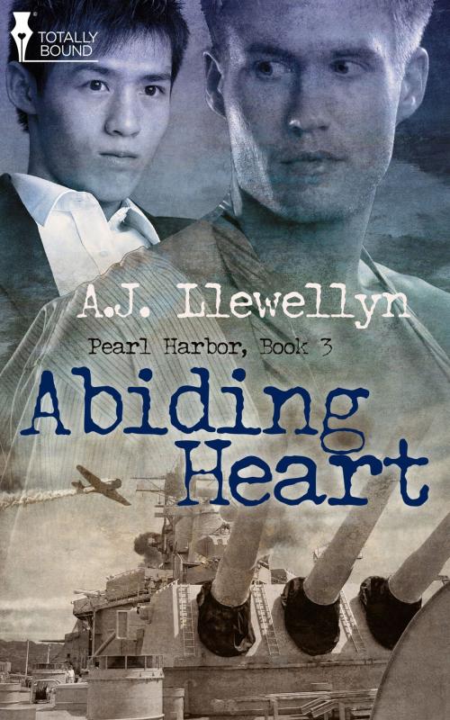 Cover of the book Abiding Heart by A.J. Llewellyn, Totally Entwined Group Ltd