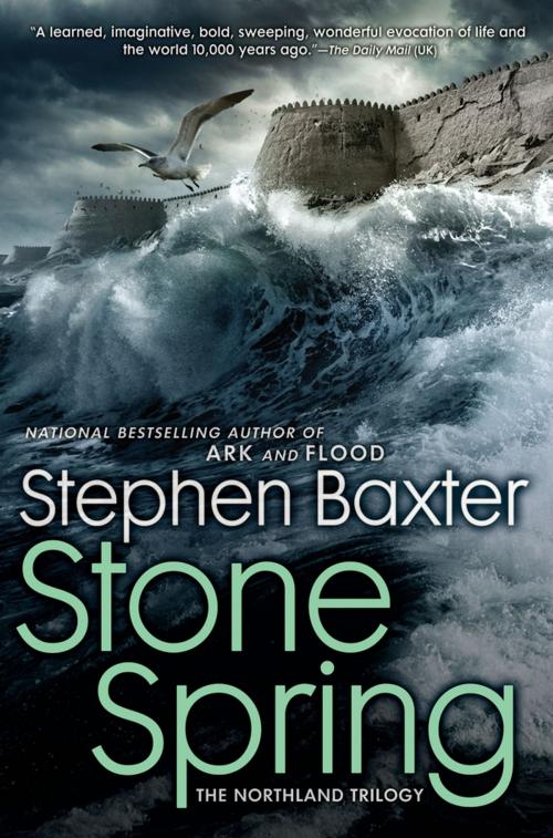 Cover of the book Stone Spring by Stephen Baxter, Penguin Publishing Group