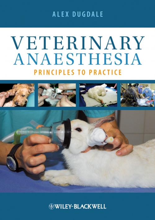 Cover of the book Veterinary Anaesthesia by Alexandra Dugdale, Wiley