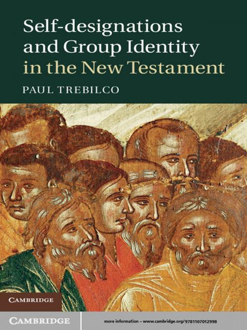Cover of the book Self-designations and Group Identity in the New Testament by Paul Trebilco, Cambridge University Press
