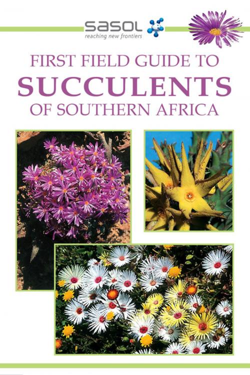 Cover of the book First Field Guide to Succulents of Southern Africa by John Manning, Penguin Random House South Africa