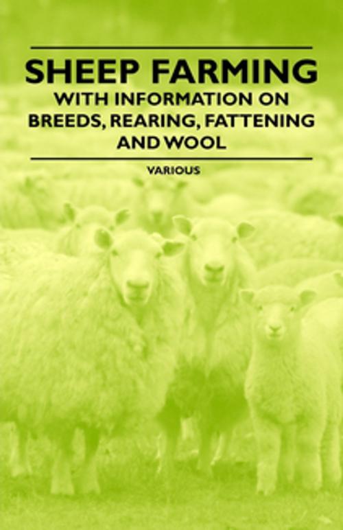 Cover of the book Sheep Farming - With Information on Breeds, Rearing, Fattening and Wool by Various Authors, Read Books Ltd.