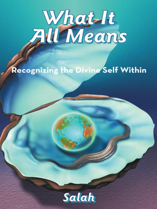 Cover of the book What It All Means by Salah, Balboa Press