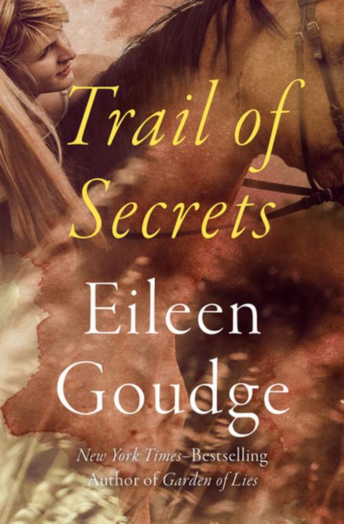 Cover of the book Trail of Secrets by Eileen Goudge, Open Road