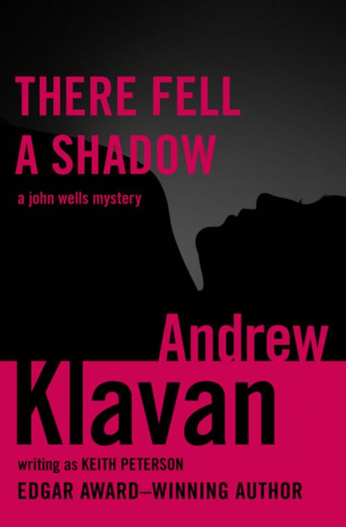 Cover of the book There Fell a Shadow by Andrew Klavan, MysteriousPress.com/Open Road