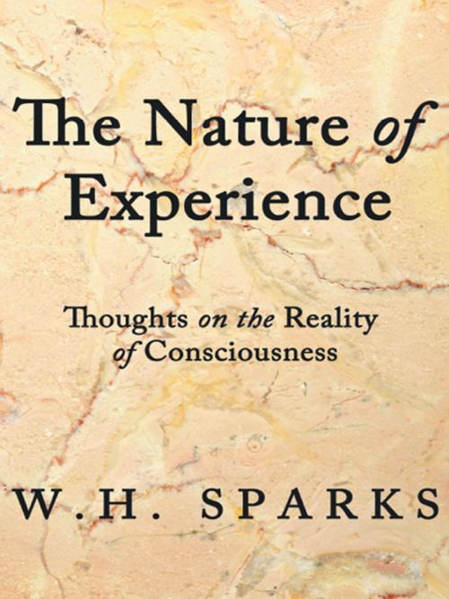 Cover of the book The Nature of Experience by W. H. Sparks, iUniverse