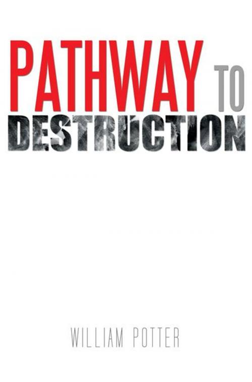 Cover of the book Pathway to Destruction by William Potter, AuthorHouse
