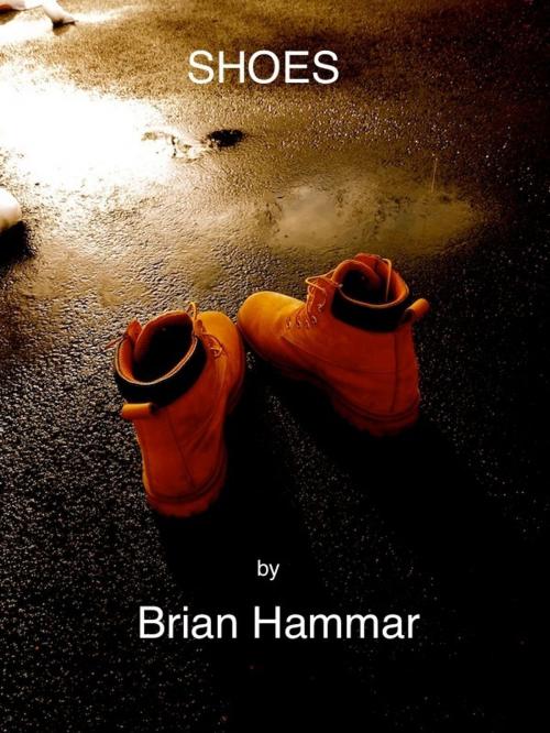 Cover of the book Shoes by Brian Hammar, Brian Hammar