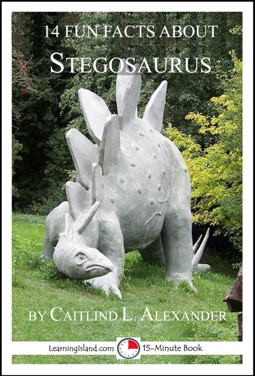 Cover of the book 14 Fun Facts About Stegosaurus: A 15-Minute Book by Caitlind L. Alexander, LearningIsland.com