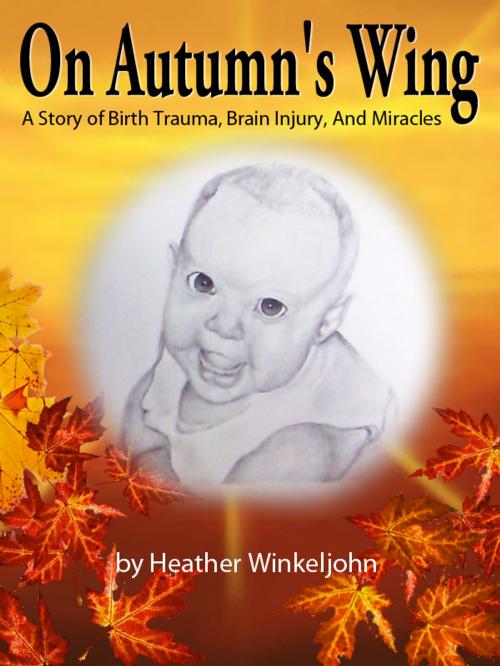 Cover of the book On Autumn's Wing, A Story of Birth Trauma, Brain Injury and Miracles. by Heather Winkeljohn, Heather Winkeljohn