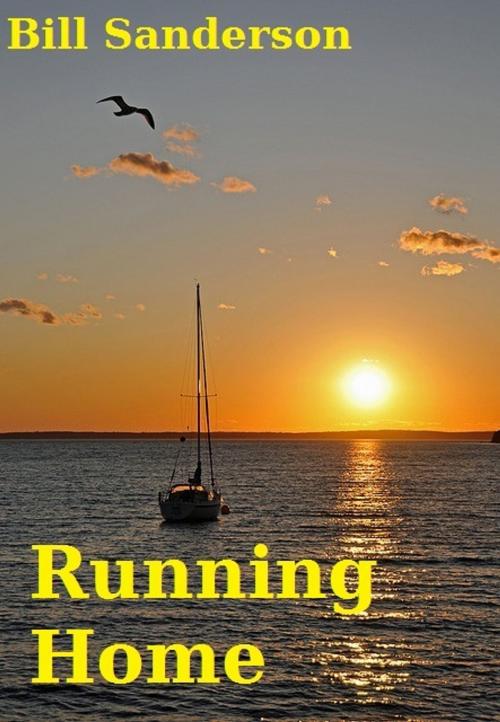 Cover of the book Running Home by Bill Sanderson, Bill Sanderson