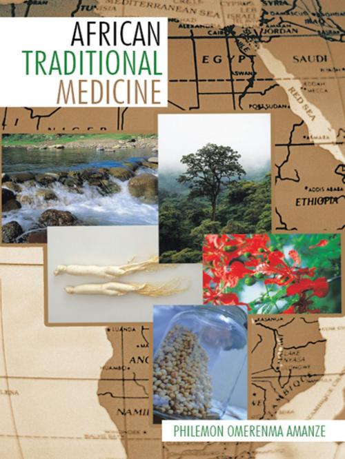 Cover of the book African Traditional Medicine by Philemon Omerenma Amanze, AuthorHouse UK