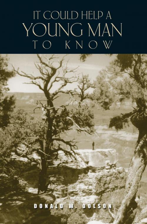 Cover of the book It Could Help a Young Man to Know by Donald W. Dolson, Essence Publishing