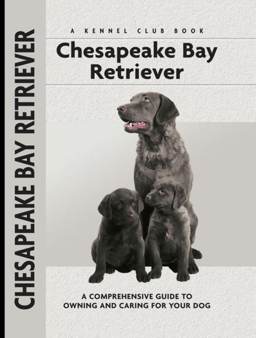 Cover of the book Chesapeake Bay Retriever by Nona Kilgore Bauer, CompanionHouse Books